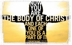 너희는 그리스도의 몸이요 지체의 각 부분이라.(고전 12:27)